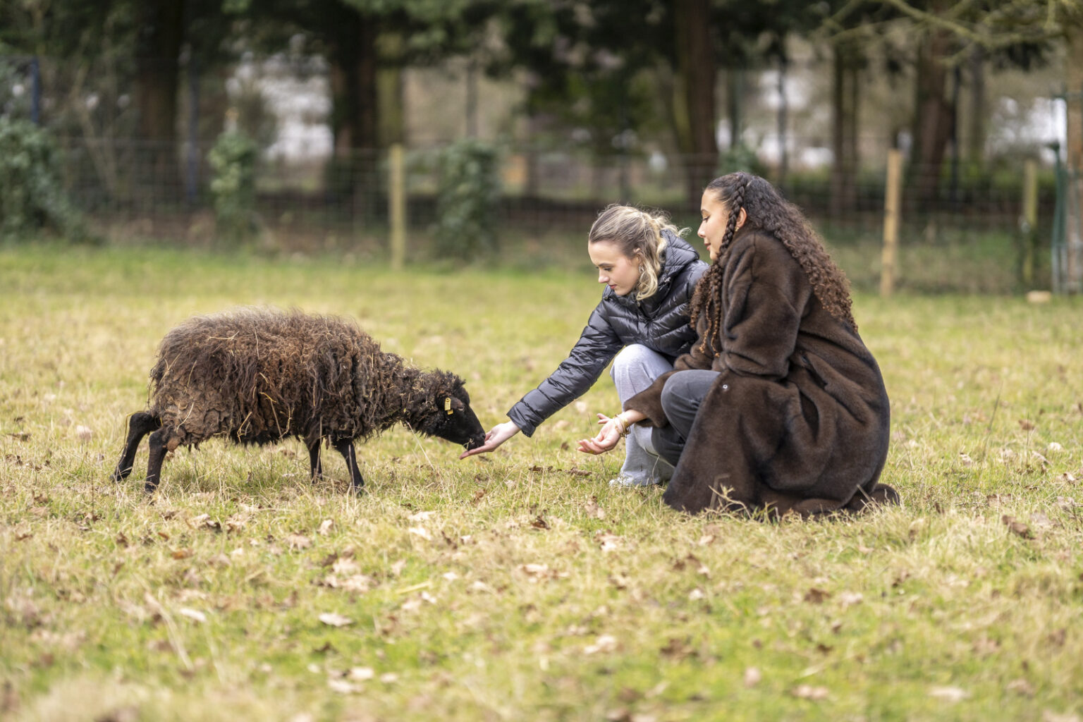 Enfants nourrissant les animaux à la Ferme de Paris